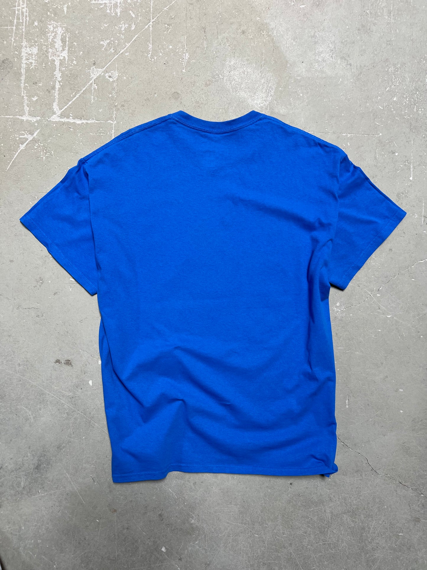 00s NASCAR Dale Jr T-Shirt